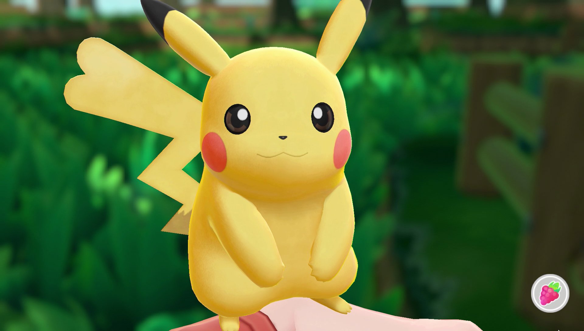 Twitter 上的 公式 ポケモン情報局 メスのピカチュウはしっぽの先がハート形になっているのは みなさんご存知ですよね 相棒のイーブイ も オスとメスでちょっとだけ姿が違うんです メスの相棒のイーブイは しっぽの柄がハート形になっています T Co