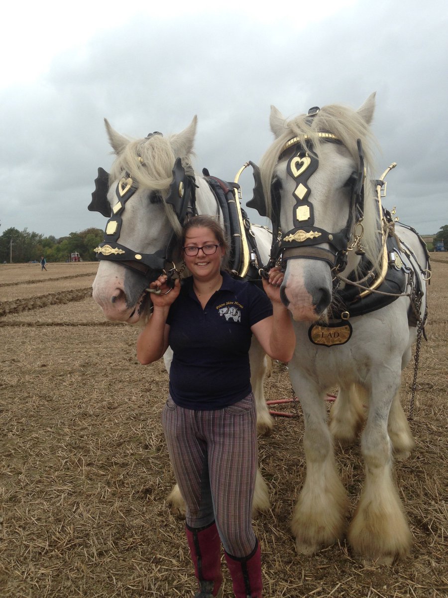 JenniferDevitt's tweet photo. Princess Di in Sherborne?  @MaestroDurand talks about his allegorical paintings at Sherborne's @thegraingallery on @Abbey_104 5-6 pm today. Also @NigelMurfitt on heavy horses; Mike Nixon on @hardysociety's conference, and Bees' Needs Week with @DorsetWildlife 's Katie Wilkinson https://t.co/Ror7tnxa9F
