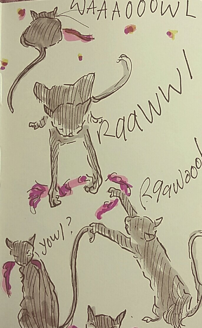 DoodlemumWALES's tweet photo. https://t.co/xhQIwIHot5 #CatsOfTwitter #cats #drawing #sketchbook #illustration #humour #linedrawing #observation https://t.co/yo98M2baGq