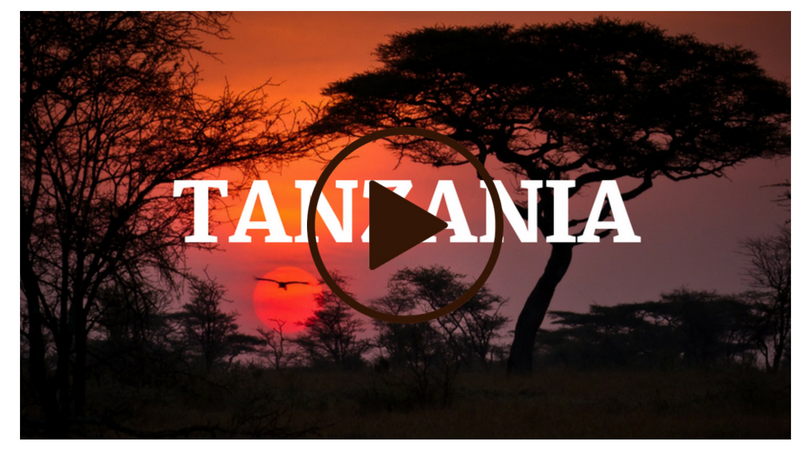 viaggiafrica's tweet photo. #12luglio #Tanzania #Safari #Viaggio
L'Africa dei safari vi sta aspettando... guarda il video: https://t.co/ueHfCRsZi3 https://t.co/EK8yGxL6jE
