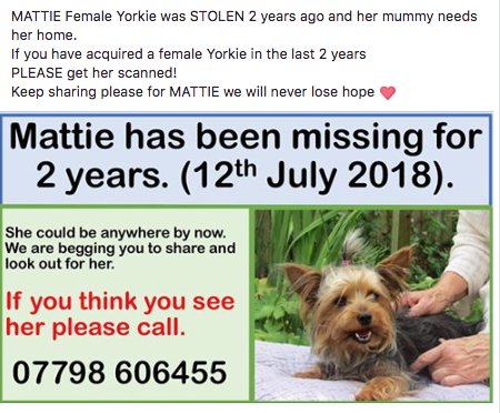 DogLost tweet media