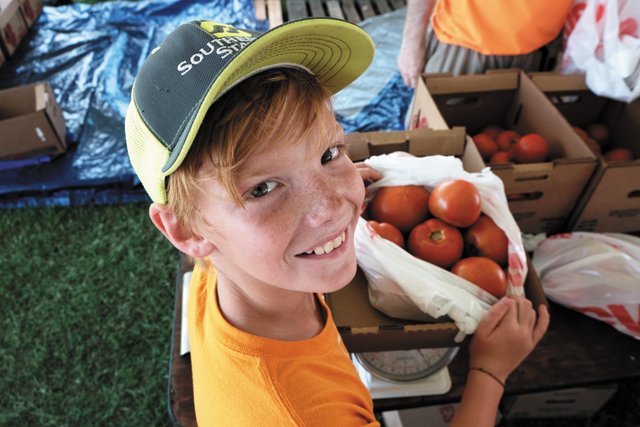 Hanover Tomato Festival