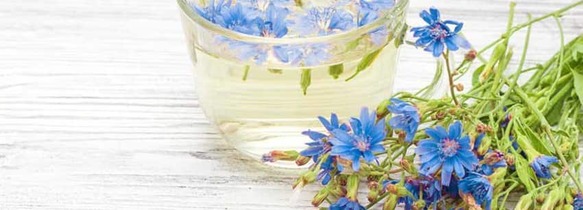 Angela Dumas tweet media