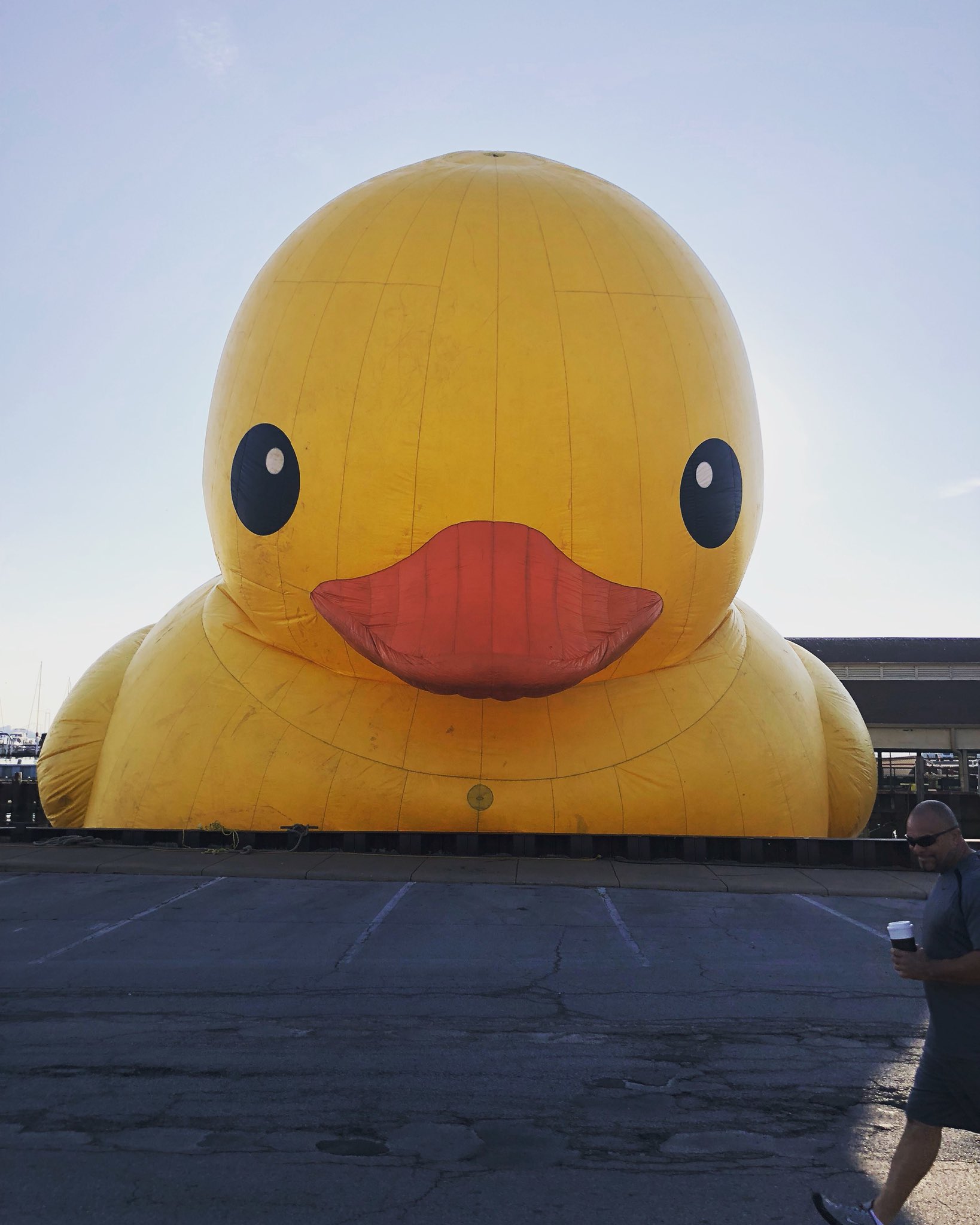 Dh6JAqFWsAE9vNF.jpg:large