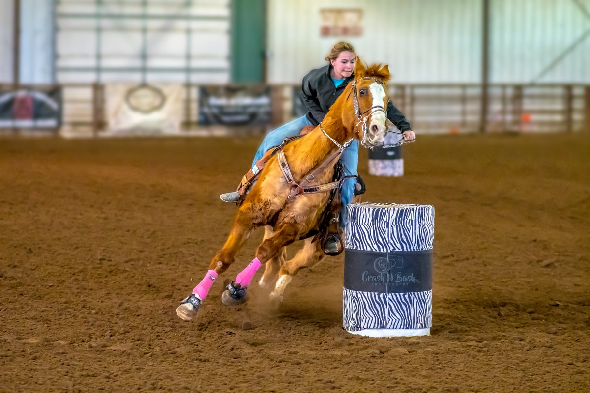 barrelnation's tweet photo. #barrelracing #barrelhorsenation https://t.co/MUxTjtIfNx