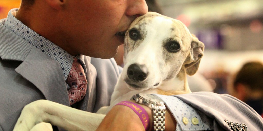 “We often use the words ‘#companionship’ and ‘love’ when describing our relationship with #dogs. This is only because we have no other words to describe how they fill our hearts and lives.” - <a href="/gailbisher/">Gail Miller Bisher</a>