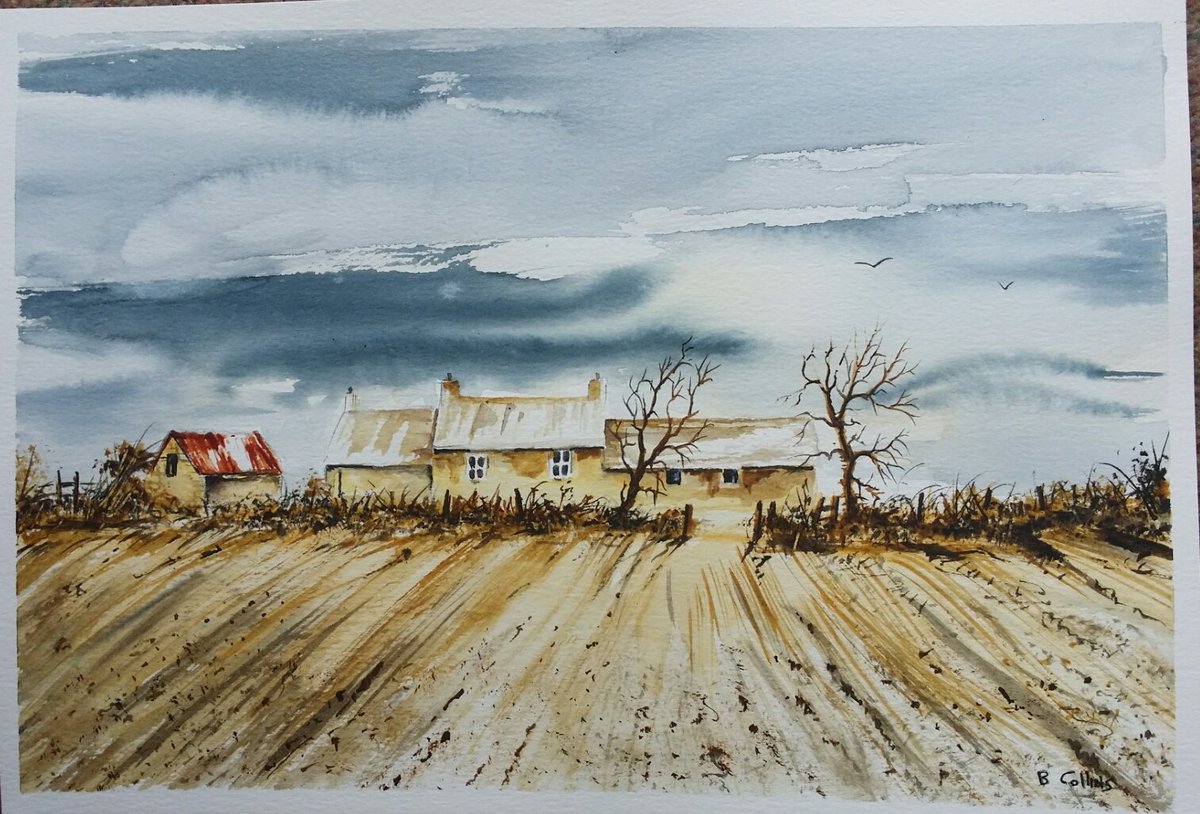 b collins tweet media