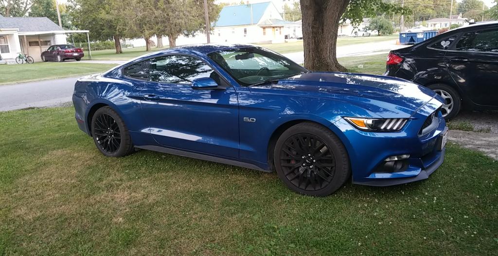 pageperrine2014's tweet photo. #sideshotthursday #mustang #GT #mustangGt 
@CorsaPerf 
@MBRPInc 
@JLTperformance https://t.co/MtOVdTAX6P