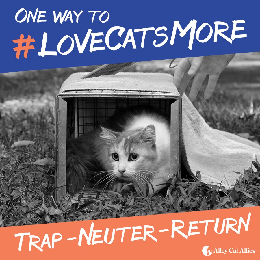 Alley Cat Allies tweet media