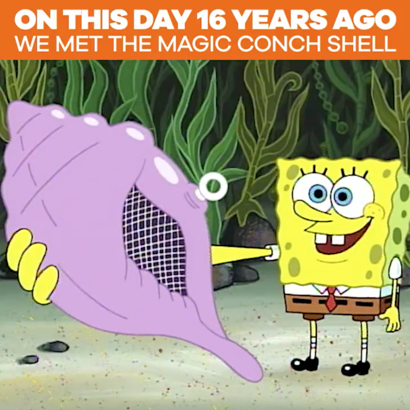 Spongebob Magic Conch Gif