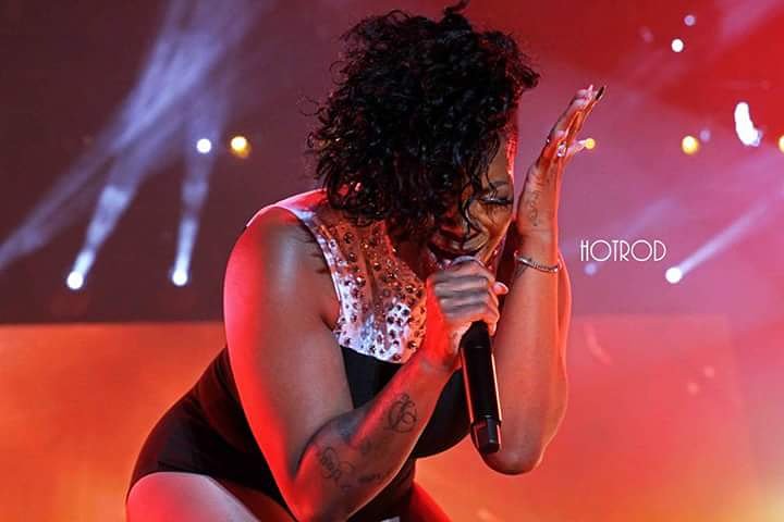 STL Social Newspaper tweet media