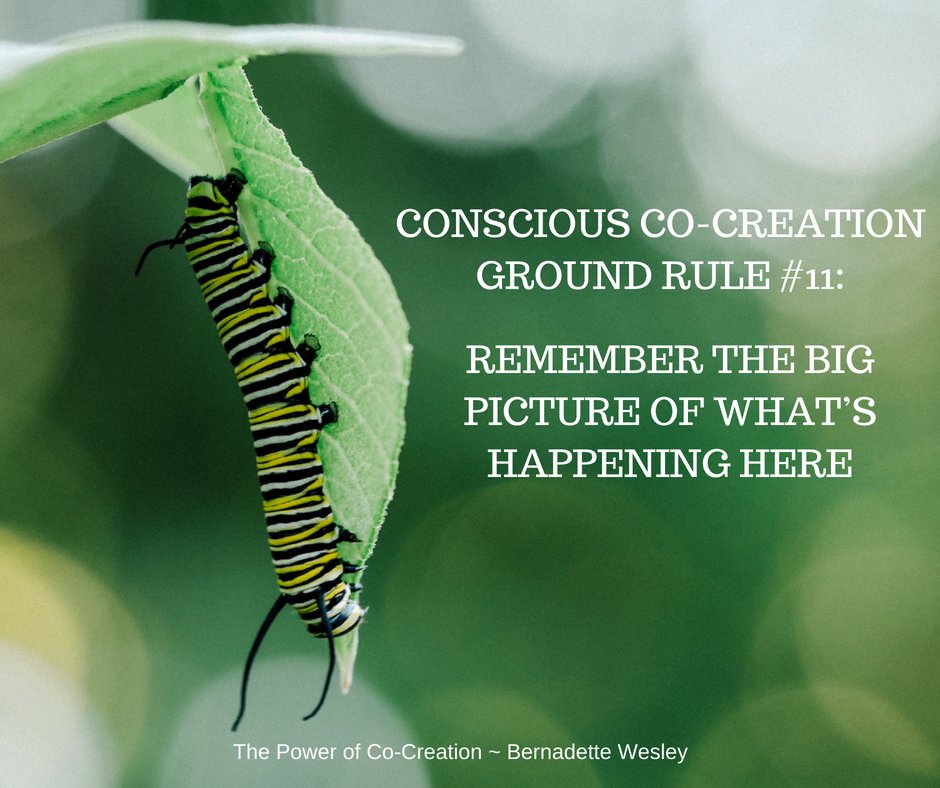 Ground Rule #11: Remember the Big Picture of What’s Happening Here
Embrace the breakdown and get used to living in the unknown. Your contribution is  essential in co-creating a new reality beyond what we can currently imagine.