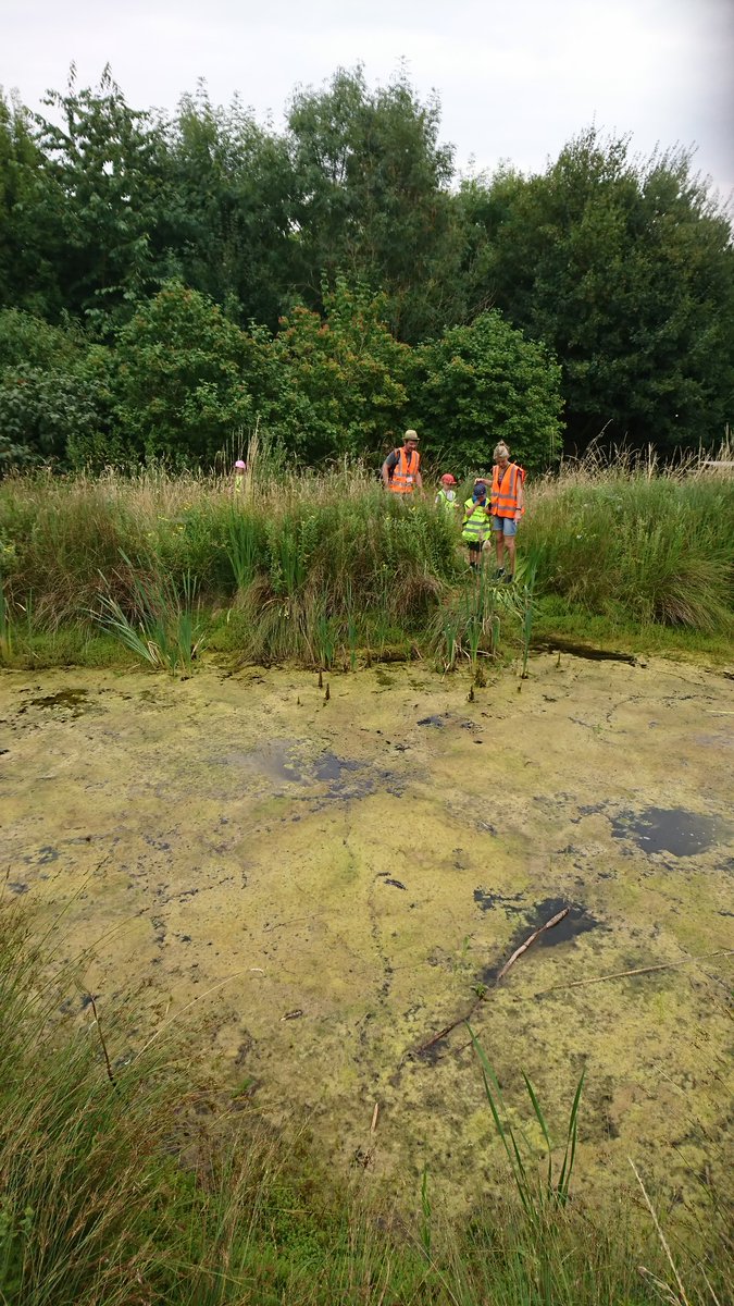 YearR_HighHam's tweet photo. Having fun at Millennium Wood. We are so lucky to be able to walk here. https://t.co/OkJoMqKvLH