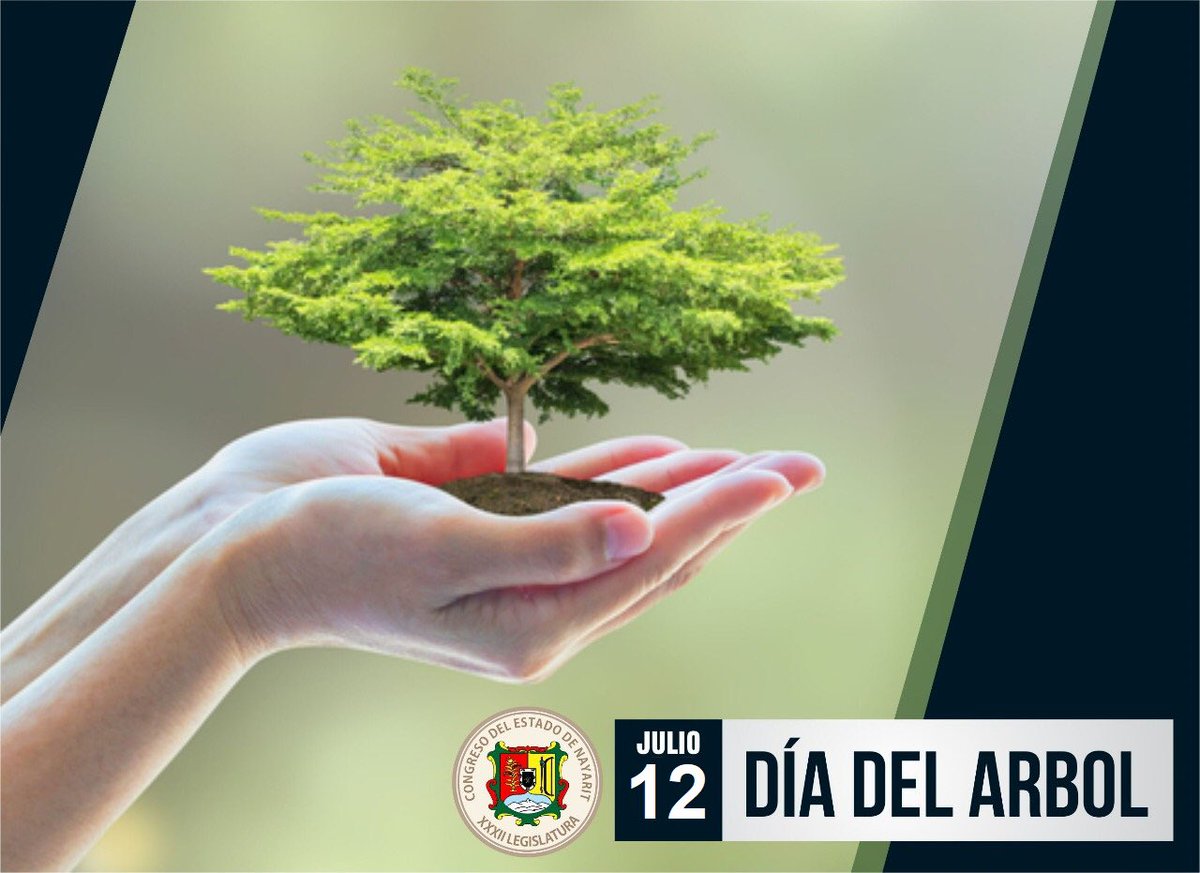PoloDominguez's tweet photo. “Quien planta árboles está al lado de la eternidad. Nuestra codicia legítima de más bosques es la búsqueda de una humanidad más humana. “(Joaquín Araújo)
#DíaDelÁrbol https://t.co/hSqtvf87K7