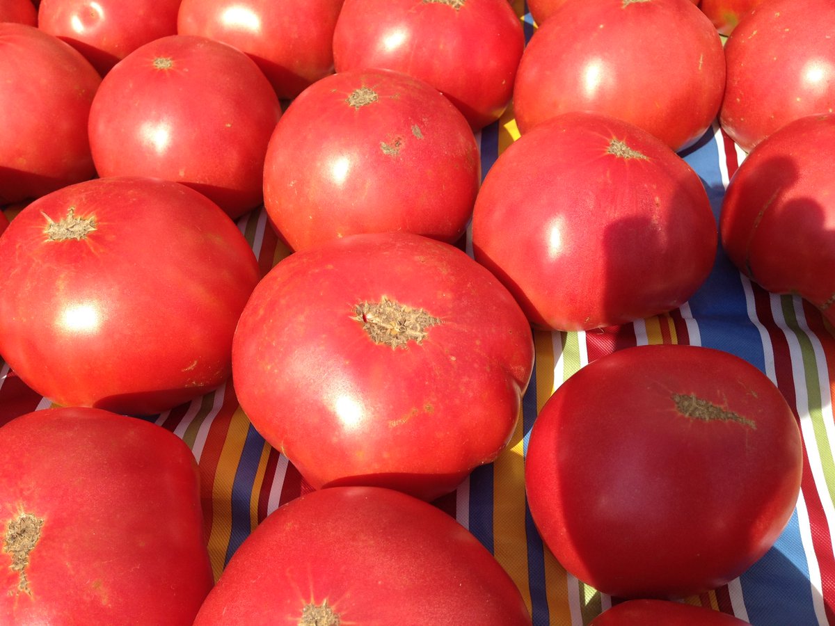 Tomato season is finally here. Join us at Greene Street Market today to get yours!!