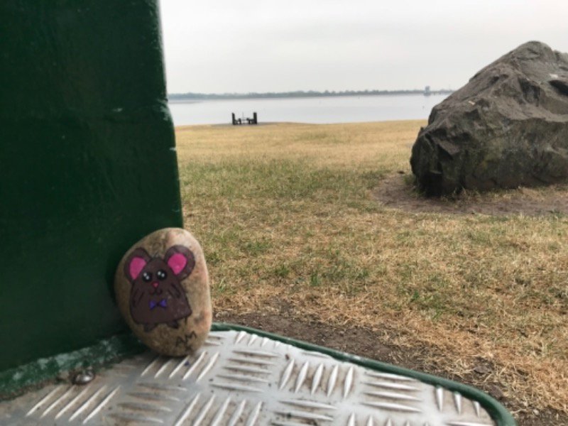 Our Rangers spotted 13 painted stones at Foremark this morning, why not come down and try to beat our record! #paintedrocks #kidsactivities