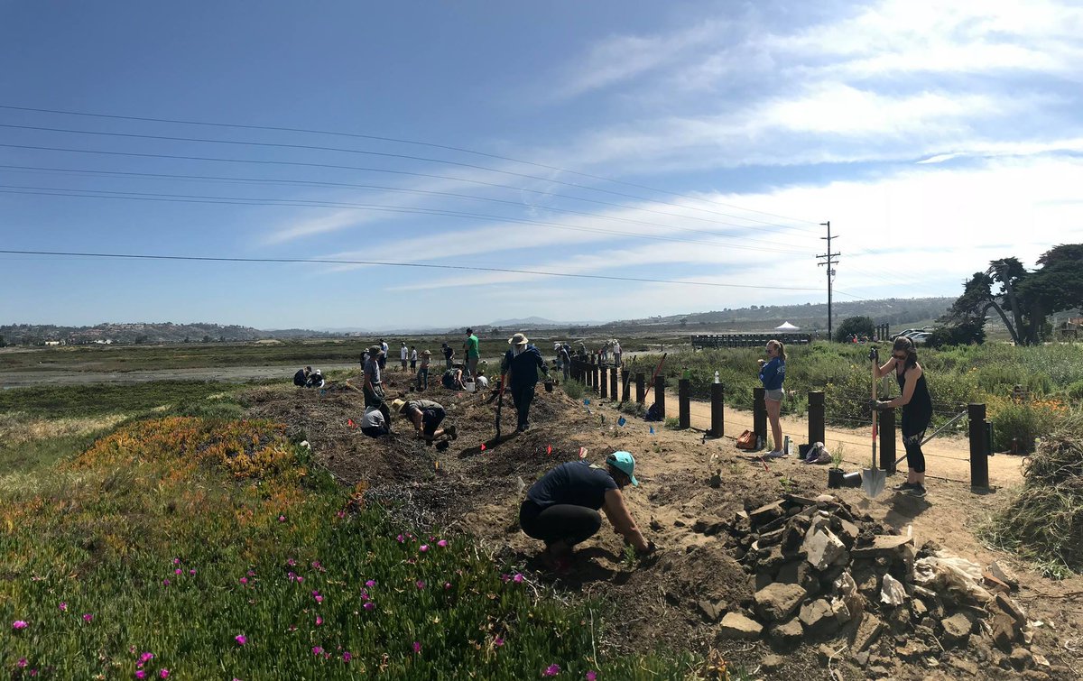 sdrvc's tweet photo. Want some satisfying work with immediate gratification? Head out to Gonzales Canyon with San Diego Canyonlands at a clean-up site next weekend: https://t.co/6NgP3DZo8T https://t.co/t6S8AlO1bY