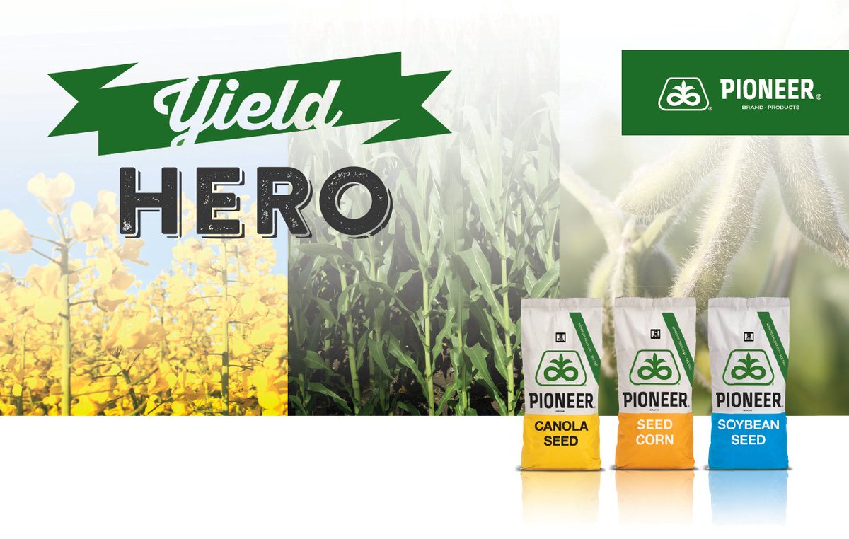 PioneerSeedsCA's tweet photo. Does blooming canola bring the bright lights of Vegas to mind? Enter your record-breaking yields in the 2018 Yield Hero Contest for a chance to win 1 of 21 trips for two to the 2019 Continental Cup of Curling in Las Vegas! https://t.co/4a7HSquC6g