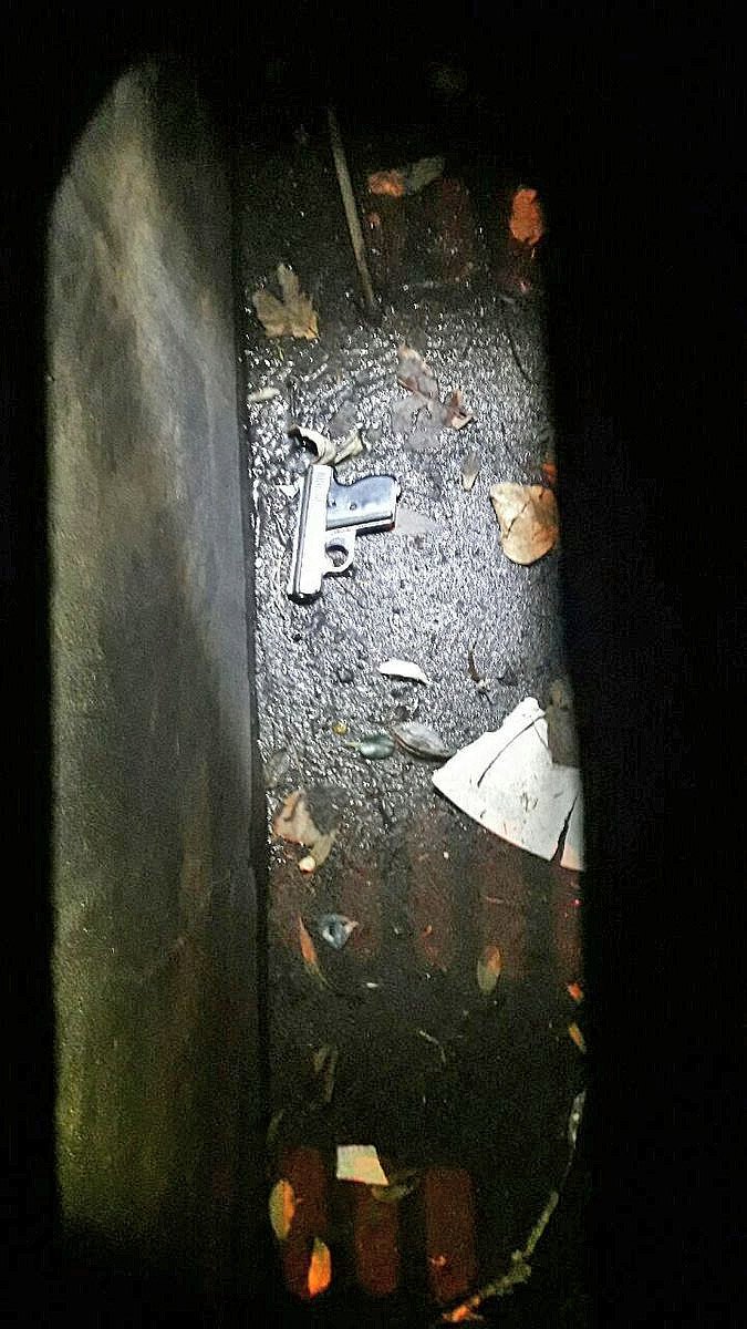 🎸⛔️¿Qué dijeron dos testigos del crimen de un hombre en Villa Lugano por el cual buscan a #PityAlvarez? La víctima tenía tres tiros en la cabeza y uno en el pecho ➡️bit.ly/2NMK2HB