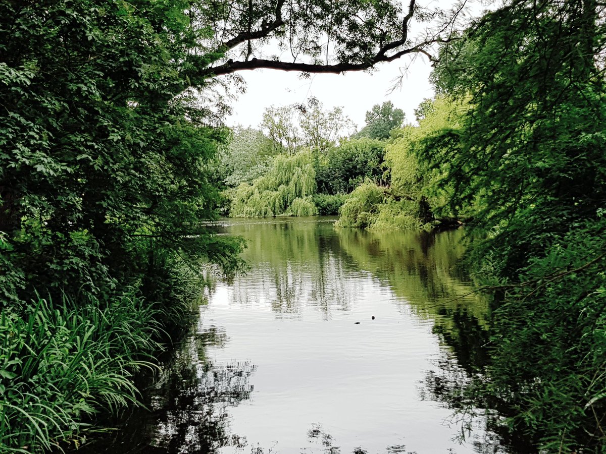 LegallyTalk's tweet image. #صوره_من_سفريتك