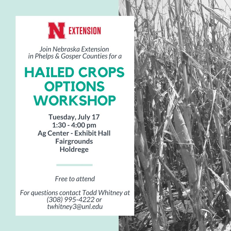 Hail Know (@hailknowunl) on Twitter photo Save the date! 7/17 at 1:30pm in Holdrege. Join <a href="/UNLExtension/">Nebraska Extension</a> for a free #hail workshop. Will we see you there? Let us know!
.
More info: extension.unl.edu/statewide/phel⦠Save the date! 7/17 at 1:30pm in Holdrege. Join <a href="/UNLExtension/">Nebraska Extension</a> for a free #hail workshop. Will we see you there? Let us know!
.
More info: extension.unl.edu/statewide/phelā¦