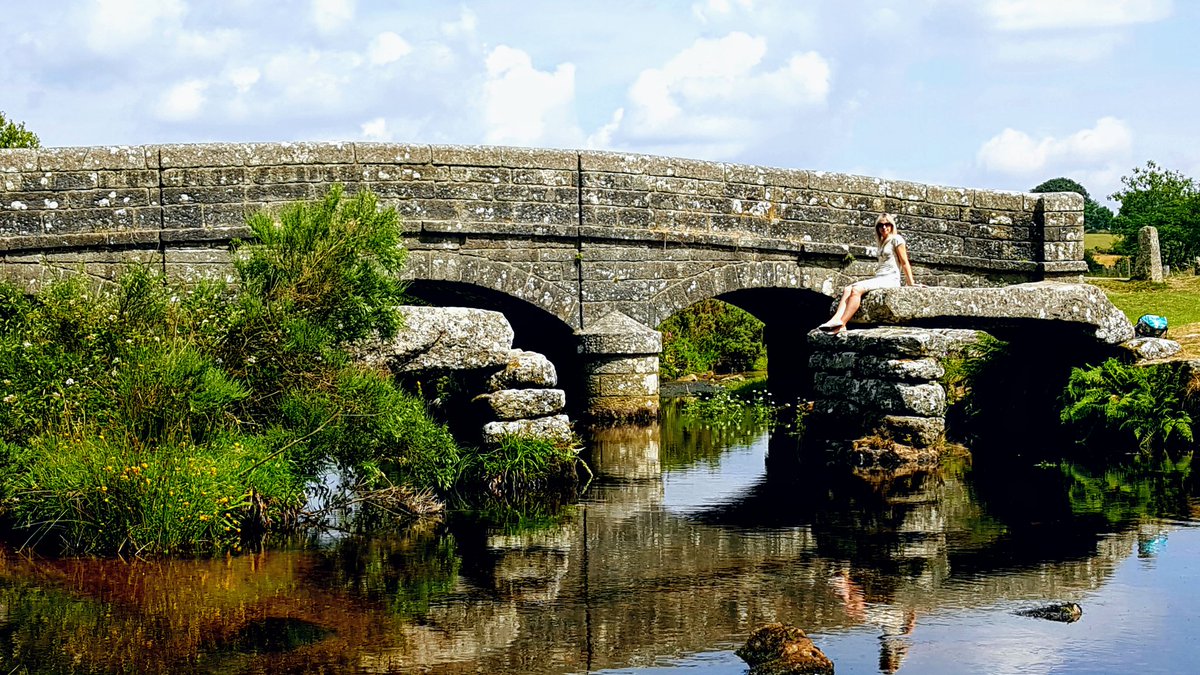 JackieGMs66's tweet image. Sunny morning in Belliver Woods ..swarms of beautiful dragon flies @dartmoormag @VisitDartmoor @dartmoornpa