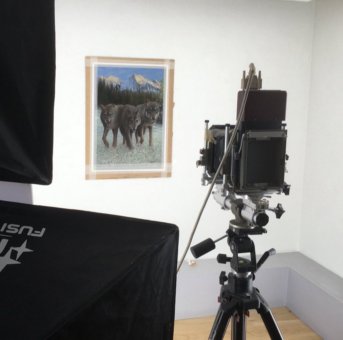 Scanning beautiful original work for limited edition fine art prints. #scanning #fineartprinting #giclee #eastmidlandartists