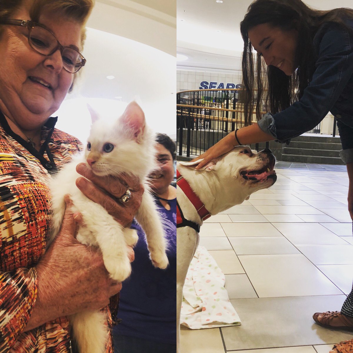 Just a #throwbackthursday from our @nhspca Adopt a Pet event last Saturday! 😘🐶🐱 💕 #familylife #family #familygoals #pets #adoption #adoptpets #event #malls #mallevent #goals #thursday #thursdayvibes #thursdaythoughts #thursdaymotivation #animals #kittens