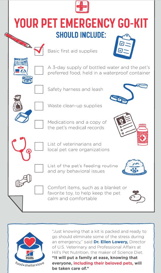 GoldretrieverUS's tweet photo. Are you prepared for a disaster or emergency that forces you to move with your dogs to another location for safety? NO?
MAKE PLANS. Assemble a "GO-Bag" for your dogs. Include toys!
#DogEvac
#GoBag
#Goldenretrievers
#RetrieverNetwork
#DogSafety https://t.co/cFBu9MTx1Q