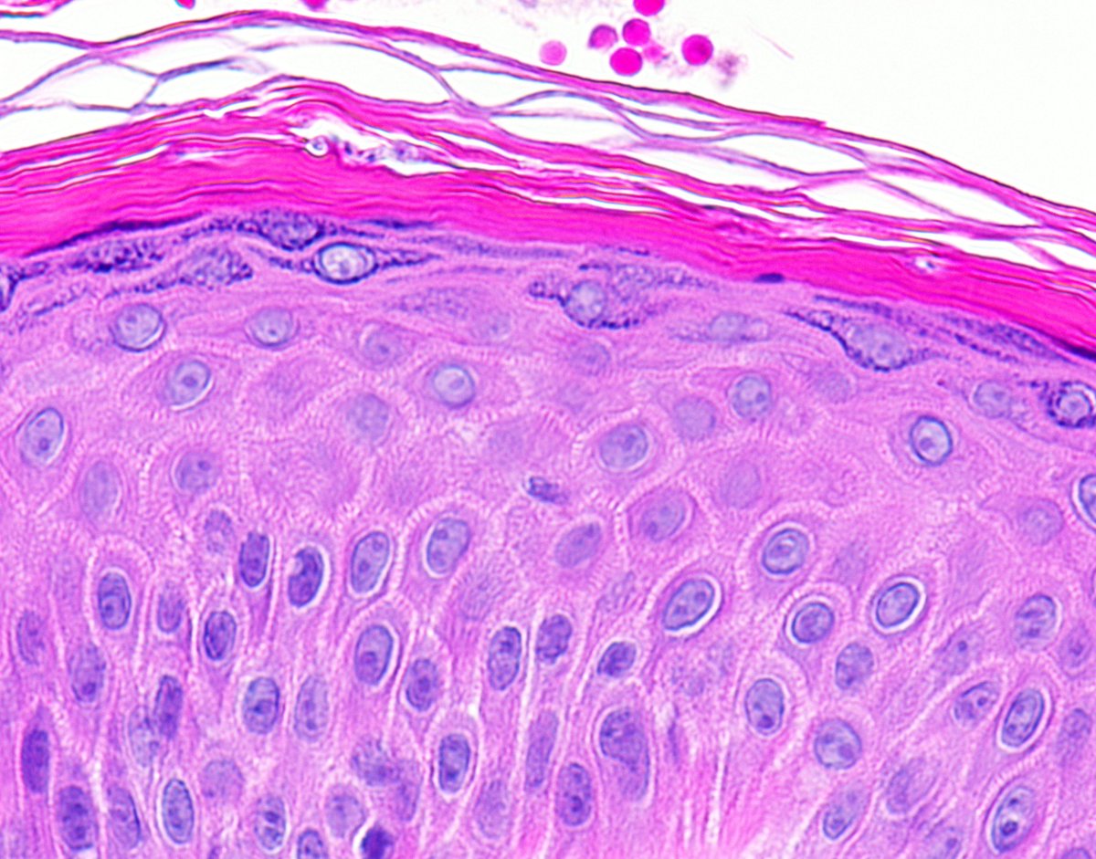 Garth Fraga tweet media