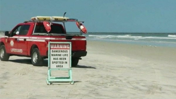 WLWT's tweet photo. Cincinnati boy, 14, bitten by shark off northern Florida beach https://t.co/kbSd8UFKCt https://t.co/2a5id528tZ