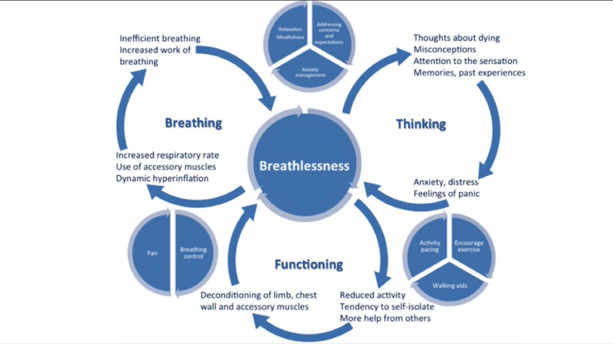 charfra's tweet photo. Great team #CPD session this morning recapping breathlessness with the chest medical physio team at @RoyalPapworth & thought provoking discussions. Small changes make a big difference for our patient group & it’s good to go back to basics #breathingcontrol #posture #physio https://t.co/TroY5CIngj