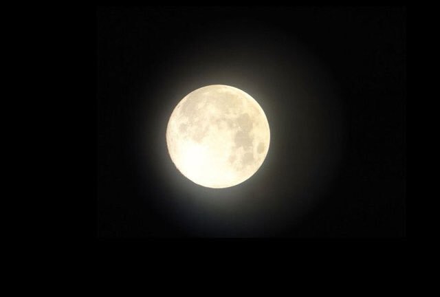 dailymoonpics's tweet photo. https://t.co/jSNN4bRhZq