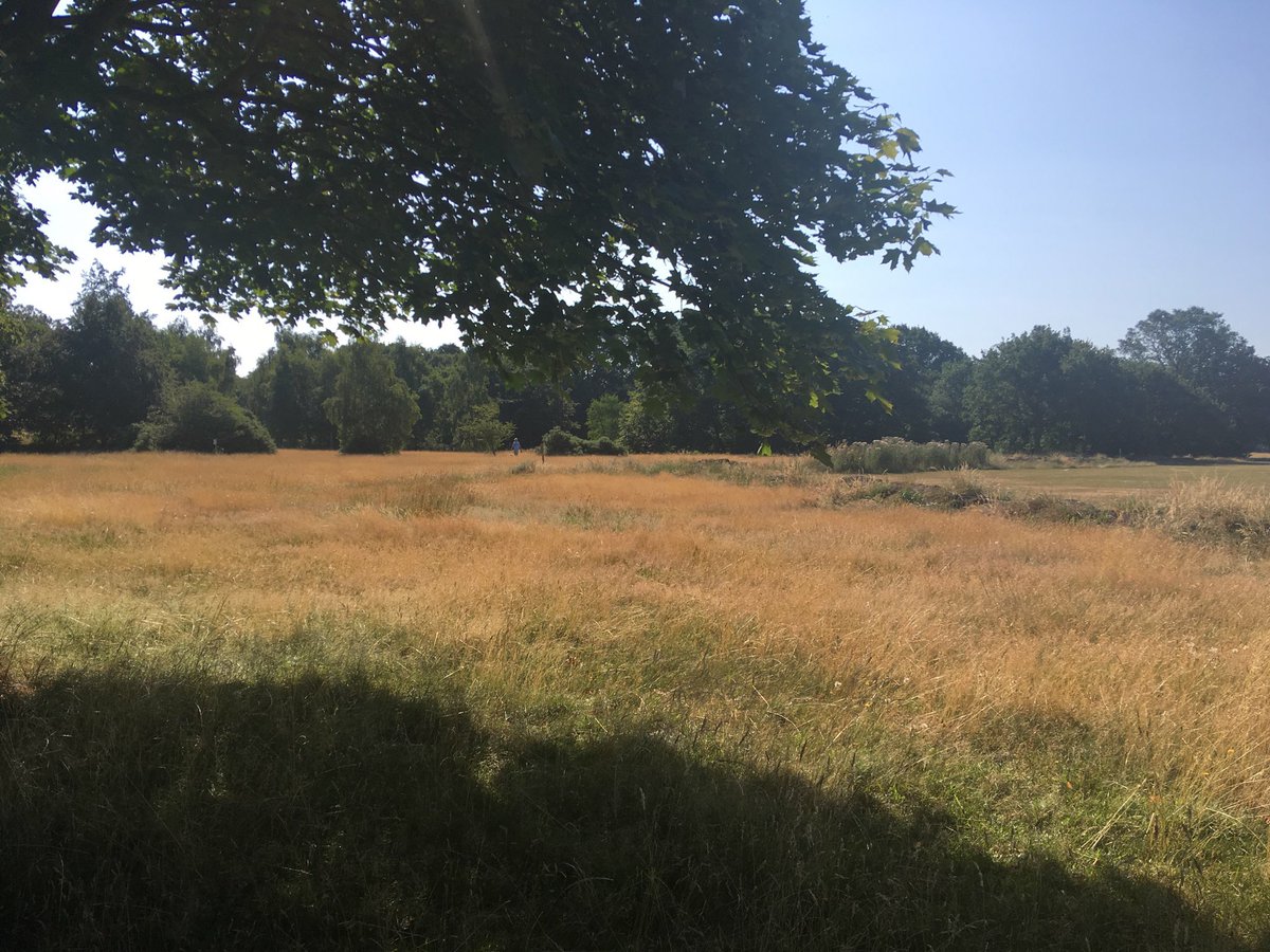 balhamgate's tweet image. Inner London @wandbc @TootingCommon