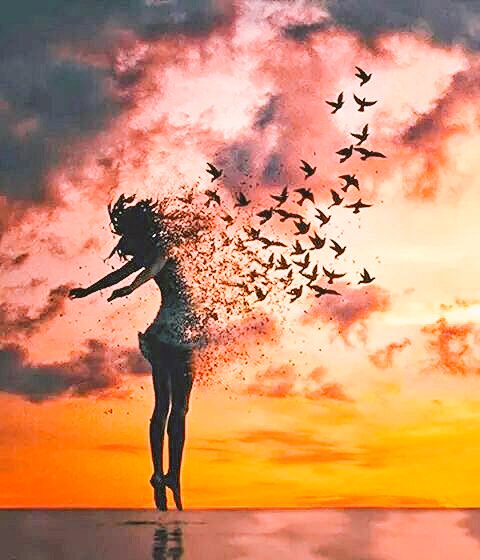 espurnadefoc's tweet photo. "I imagina
que respires l’aire volat per un ocell
tot just escapat d’un gabió."
#ManelForcano https://t.co/zGjb2aBStZ