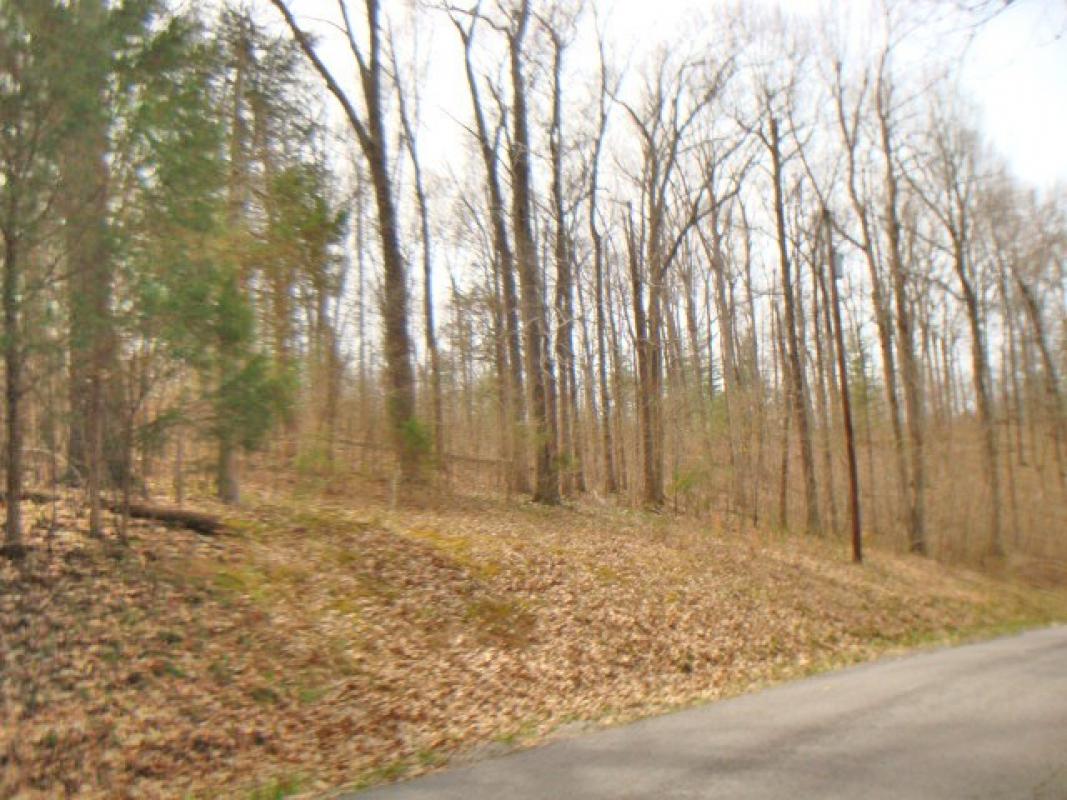 Re/Max Real Estate (Remax5176) Twitter