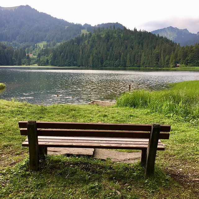 benchmarkn7's tweet photo. SO MANY BENCHES. FIND YOURS. @benchmarkn7 #germany #travel #benchmarkn7 #hike #outdoor #travelphotography #travelling #traveller #fitness #fitnessmodel #fitnessmotivation #fitnessfreaks #fitnesslife #yoga #yogaeverydamnday #yogachallenge #yogainspiration… https://t.co/lactoLmuAE https://t.co/g34oPVYR7B