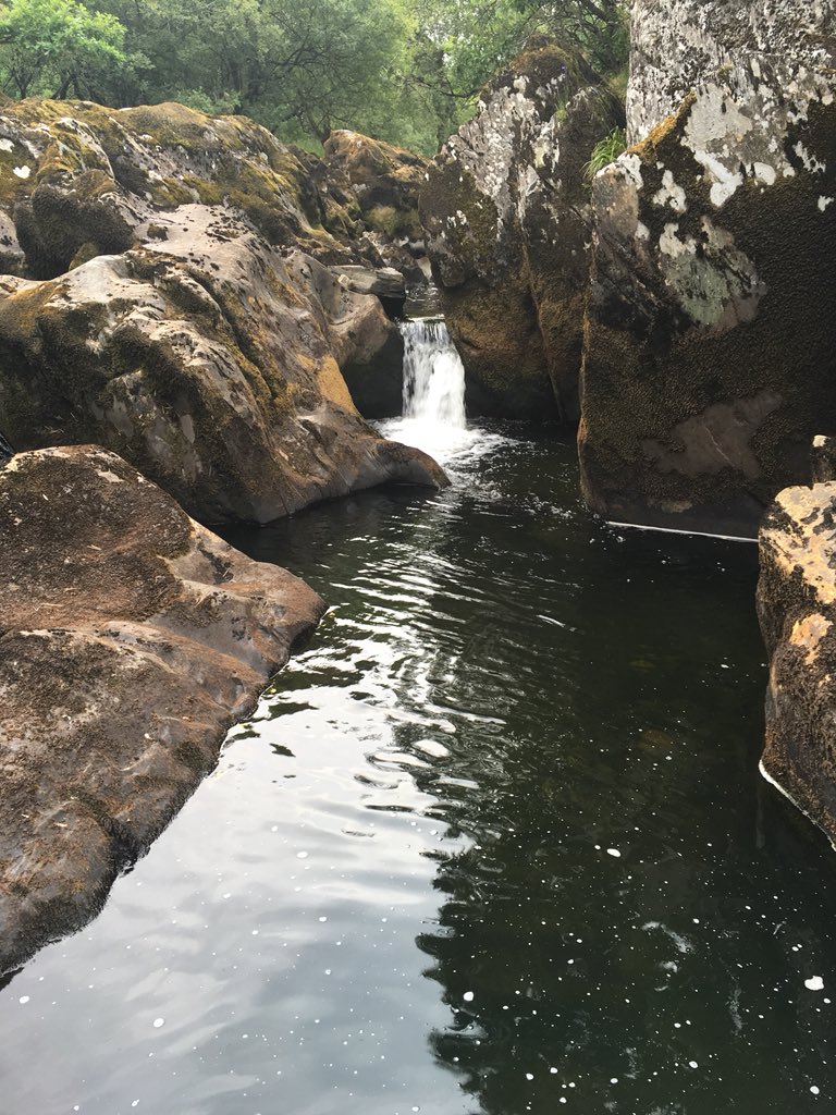 Annie_Matt90's tweet image. Found this beauty whilst #geocaching 
#OTComm #Snowdonia