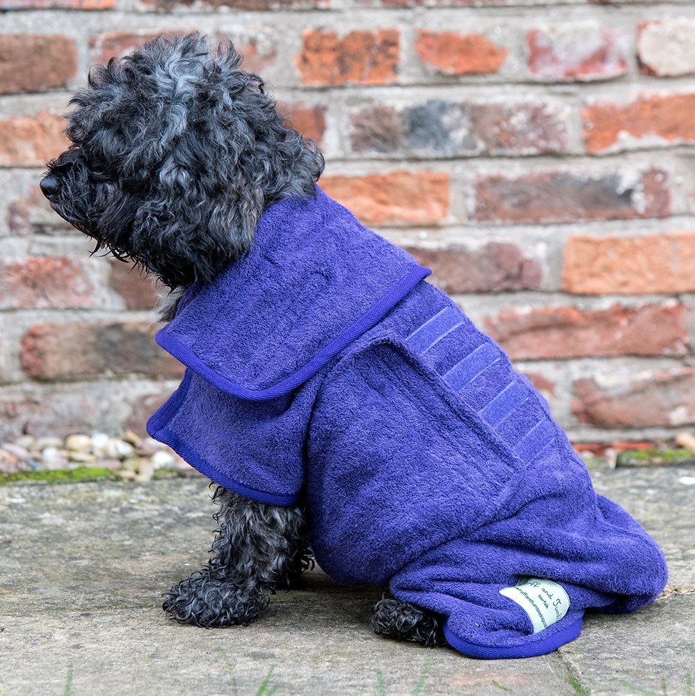 Did you know that our #DryingCoats also work for keeping your dog #cool? Simply run it under the cold tap and then wring it out and put it on your dog! Here's Lola the #Cockapoo modelling the @ruffandtumbledogcoats Heather Drying Coat!