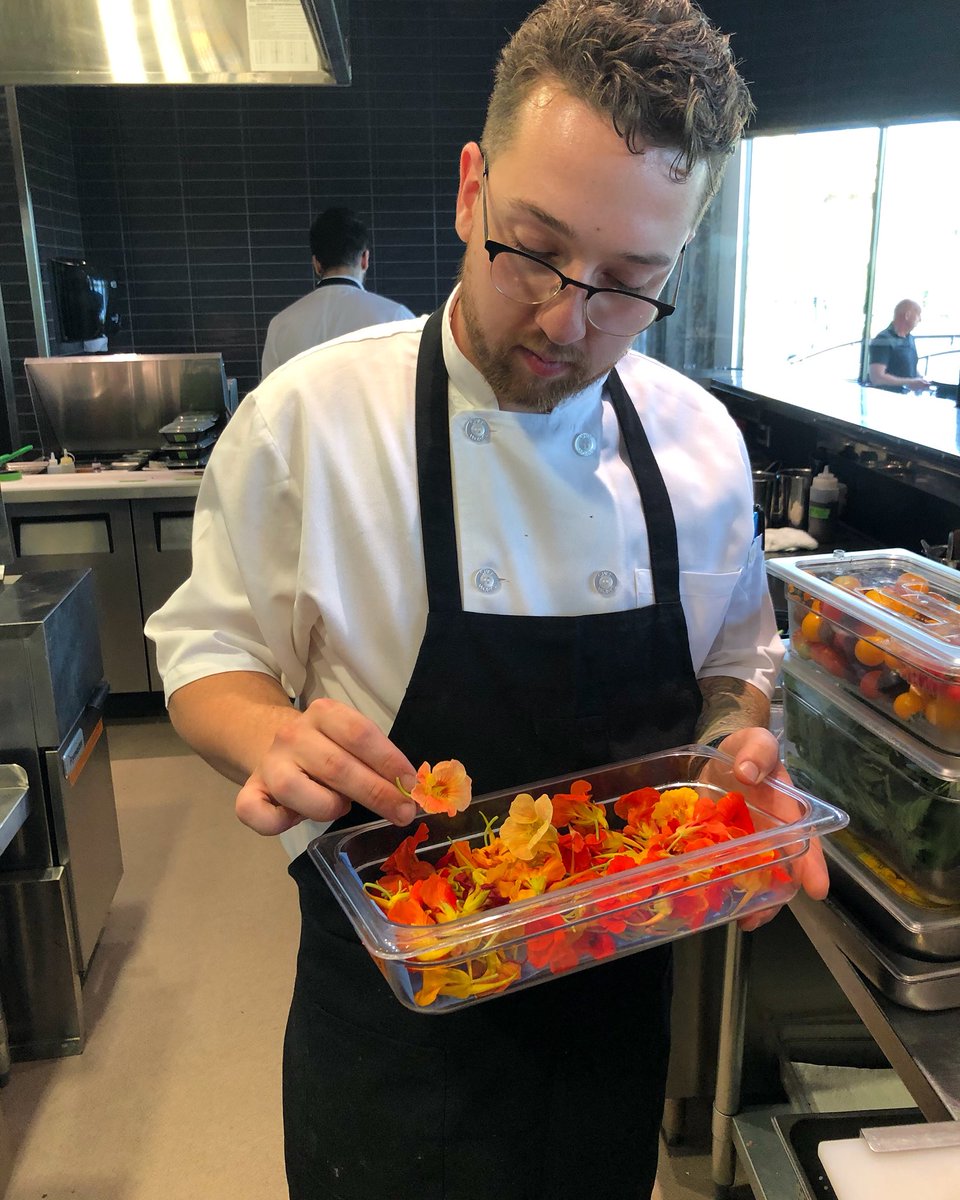 Nasturtium blossoms offer a slight peppery taste and are a beautiful finish to our roasted mushrooms, black garlic, currants, &amp; Icelandic moss before we pour over the chaga broth as an appetizer. 

 #nasturtiumflowers #edibleflowers #wildfood #foraged #chaga #mushrooms