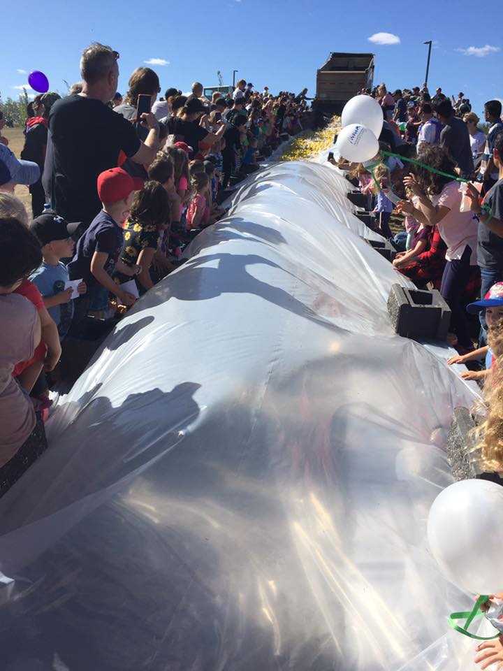 BBBSWoodBuffalo's tweet photo. Throwing it back to last years duck race event showing all the kiddos cheering on the adopted ducks!!  Adopt your duck today for this years race by visiting https://t.co/n9m0oKYboJ :) #throwbackthursday #bbbswoodbuffaloduckrace #ymm #thingstodoymm #fortmac #mcmurray https://t.co/SqviiP09MA