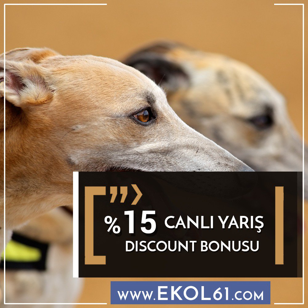 📣📣 %15 Canlı Yarış Discount Bonusu 📣📣
💎💎 EKOL61.COM 💎💎