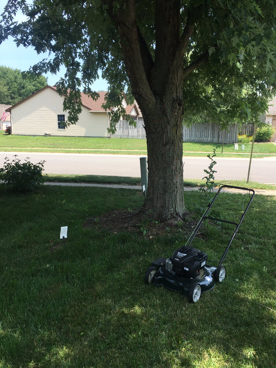 leahamyy's tweet photo. Today, my neighbor came and planted his flags WHILE I was mowing to let me know he is the Queen of the Land of Passive Agressiva #EAFD https://t.co/tGtuAc0tU5