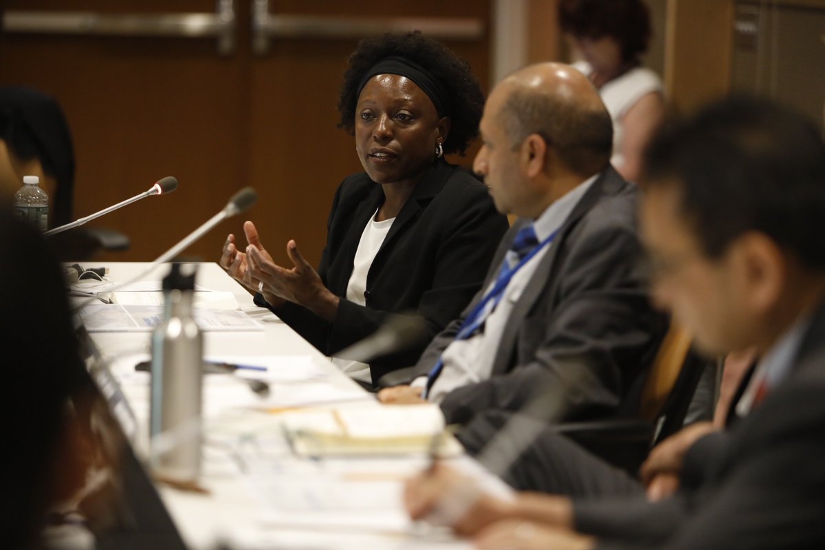 IRENA's tweet photo. ‘When delivering solar micro-grids in rural #Tanzania, there’s a fear about what will happen to the assets when the grid arrives. It’s important to ensure that installed systems are on par with what’s available in urban areas’—@janocol at @IRENA's off-grid event at #HLPF2018 https://t.co/tWbJ9d94p1