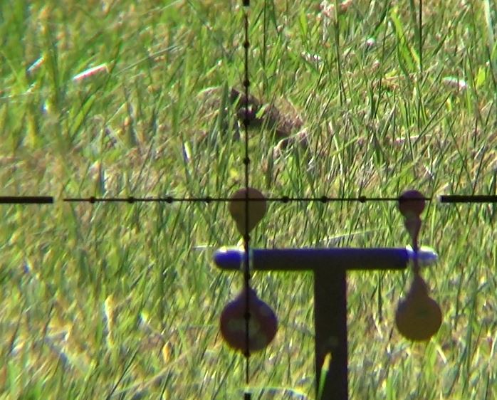 We take a look at the PAO Emerald Compact SWAT in this week's show at youtube.com/watch?v=1QD584…
<a href="/shootingparty/">Mike Hurney</a> #airgun #shooting #optics