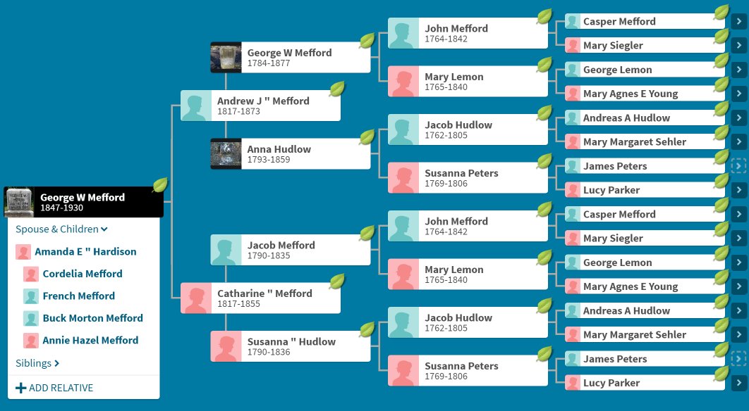 genealogygirlx's tweet photo. This tree starts with my 3x Grandpa, George Washington #Mefford. He was the son of Andrew Jackson Mefford and Catharine "Katie" Mefford. They were double first cousins who married. Their Dad's were brothers and their Mom's were sisters. Welcome to Kentucky, y'all.
#Genealogy https://t.co/xBbwp4izUx