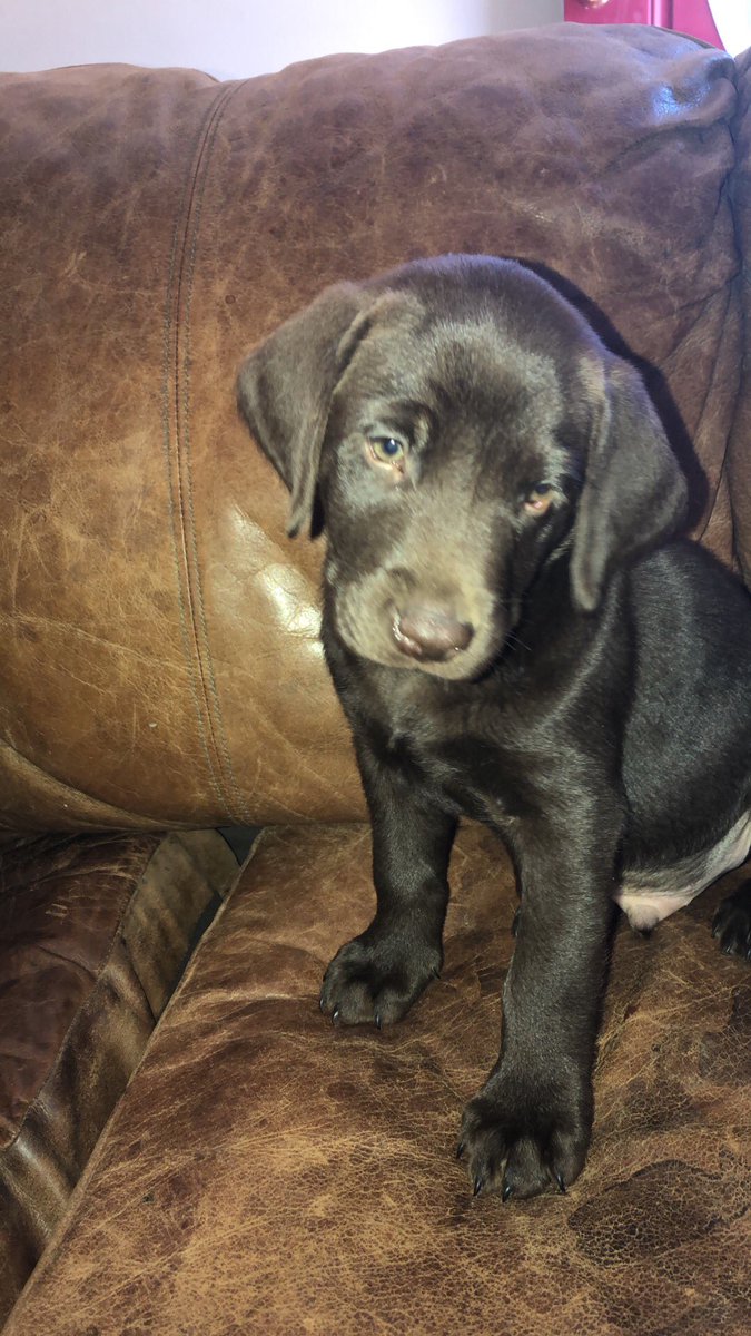 reburman3's tweet image. It took 22 years, but I’m finally getting my boy! #Oakley #mancode #wingman