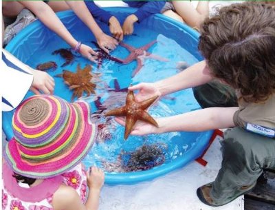 PacificParkland's tweet photo. Join us this Saturday for #MVRPs Creatures of the Not-so-Deep event in Belcarra. Come say hi and learn how YOU can make a difference in #MVRPs . For more information: https://t.co/trAa0CAXRA https://t.co/WsBTQijpoW