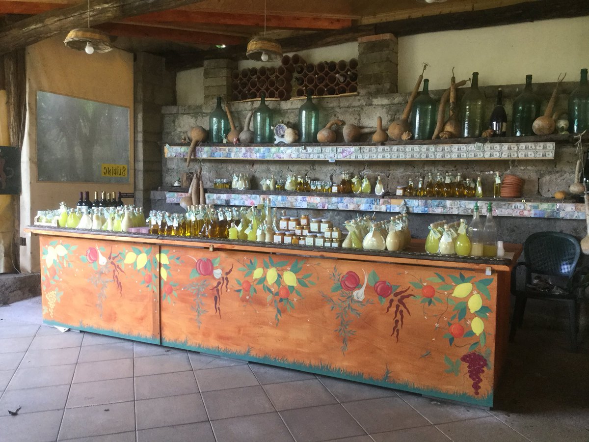 DTWGSG's tweet photo. Lovely day at Pompeii, sampling at the mozzarella farm and a meander in sorrento town @WilmingtonGSG @WGSGScience https://t.co/qqi0DtasXO
