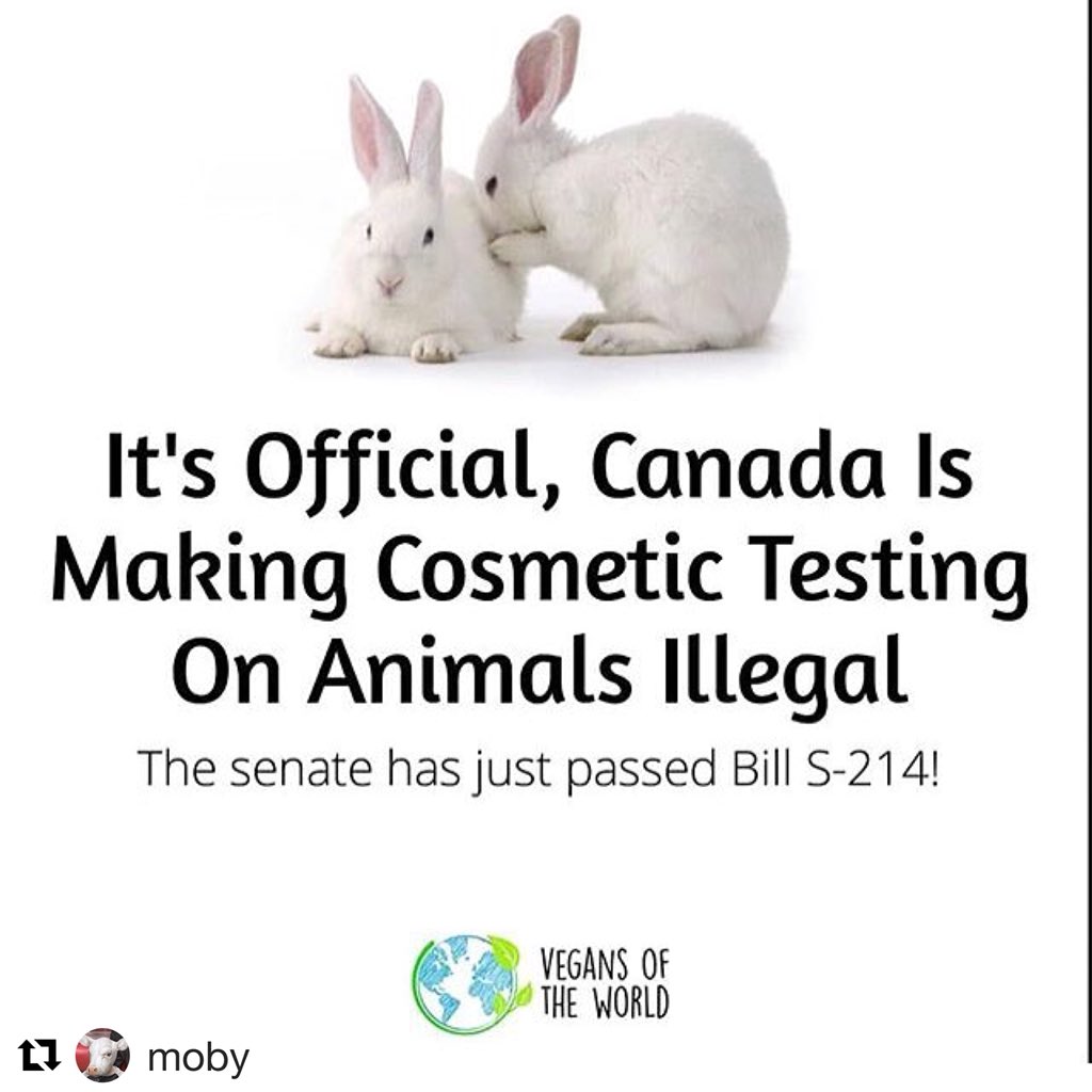 TheGentleBarn's tweet image. Thank you, Canada, thank you!!!!!! Gentleness is possible! Let’s follow their lead!!! #begentle